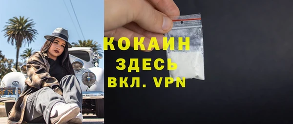 трава Няндома