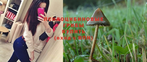 не бодяженный Аркадак